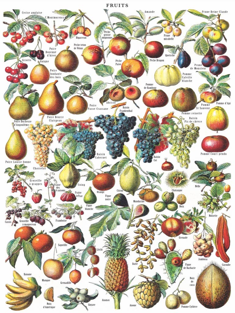 Fruits - 1000 Piece Jigsaw Puzzle