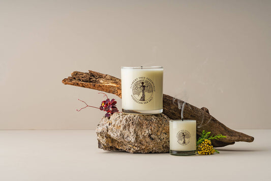 Moroccan Sea Salt Lotion Candle