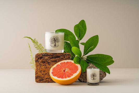Grapefruit Sorbet Lotion Candle