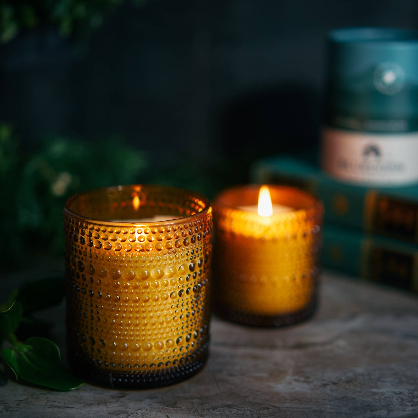 Woodsy Pine Scented Jar Candle