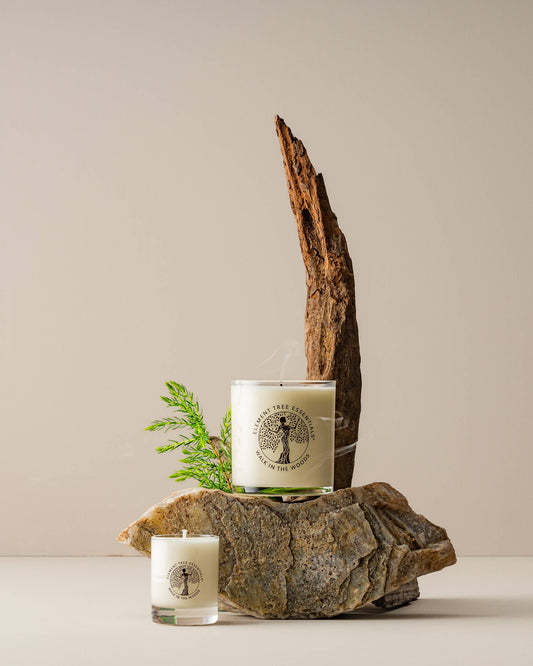 Walk In The Woods Lotion Candle