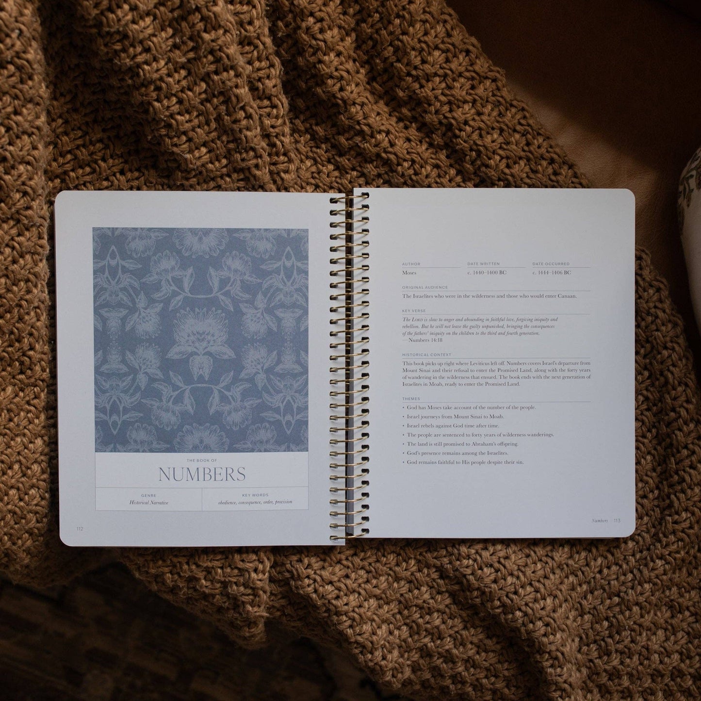 A Year in the Bible | 365 Days of Discovering the Beauty of Jesus from Genesis to Revelation | Volume 1