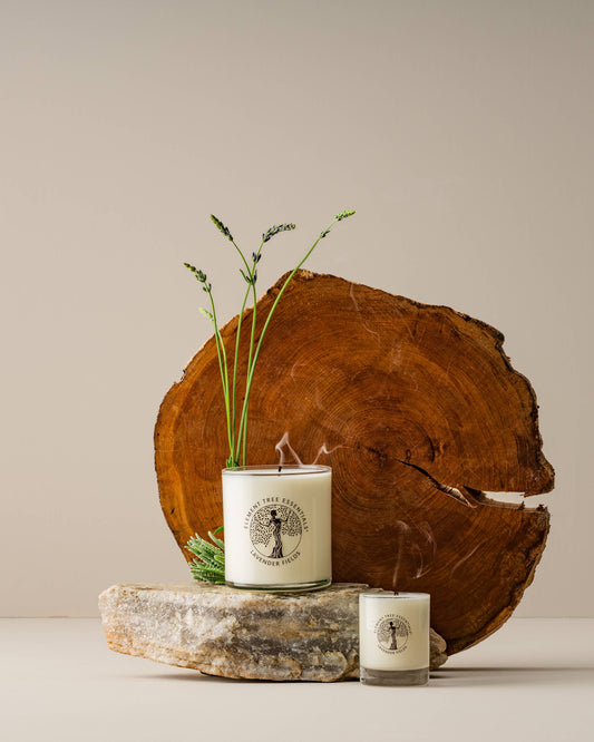 Lavender Fields Lotion Candle