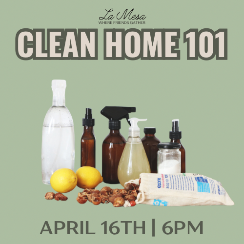 Clean Home 101