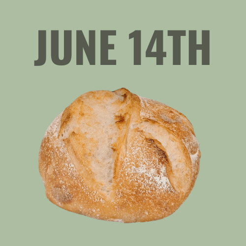 Sourdough 101 Class