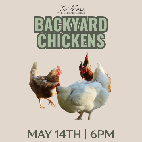 Backyard Chickens 101