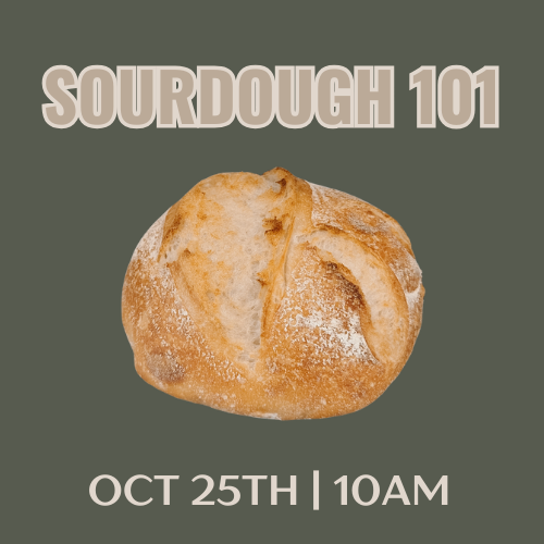 Sourdough 101 Class
