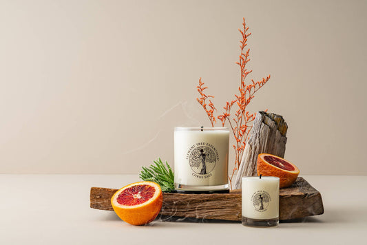 Citrus Sage Lotion Candle